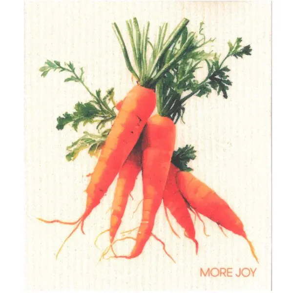 Dishcloth Carrot