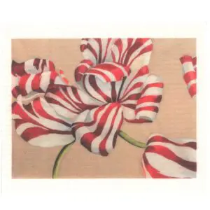 Johanna Oras Dishcloth, Polkka