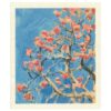 Dishcloth Coral Tree in Blossom, Ateneum