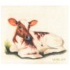 Design Dishcloth Baby Cow
