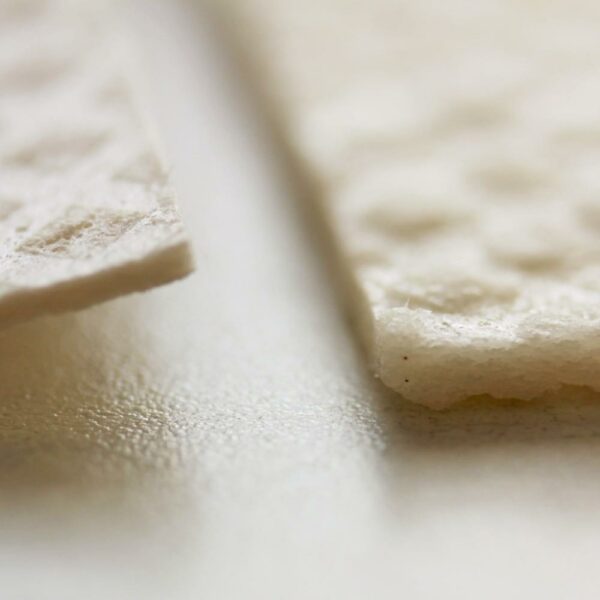 Wet and dry dishcloth