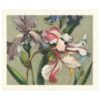 Dishcloth Garden of Love, Johanna Oras