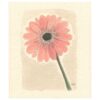 Sari's Artwork Dishcloth Gerbera, Pink