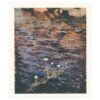 Ateneum Dishcloth Pond Water Crowfoot
