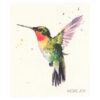 Dishcloth Hummingbird