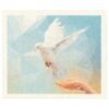 Dishcloth The Dove of Peace