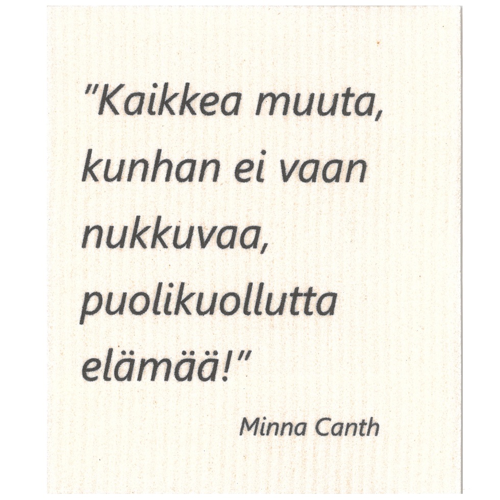 Dishcloth Minna Canth - Image 2