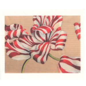 Johanna Oras Dishcloth, Polkka