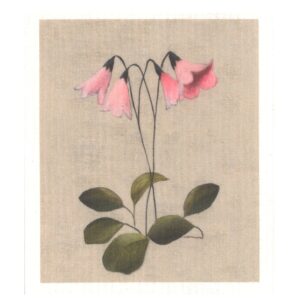 Johanna Oras Dishcloth, Twinflower