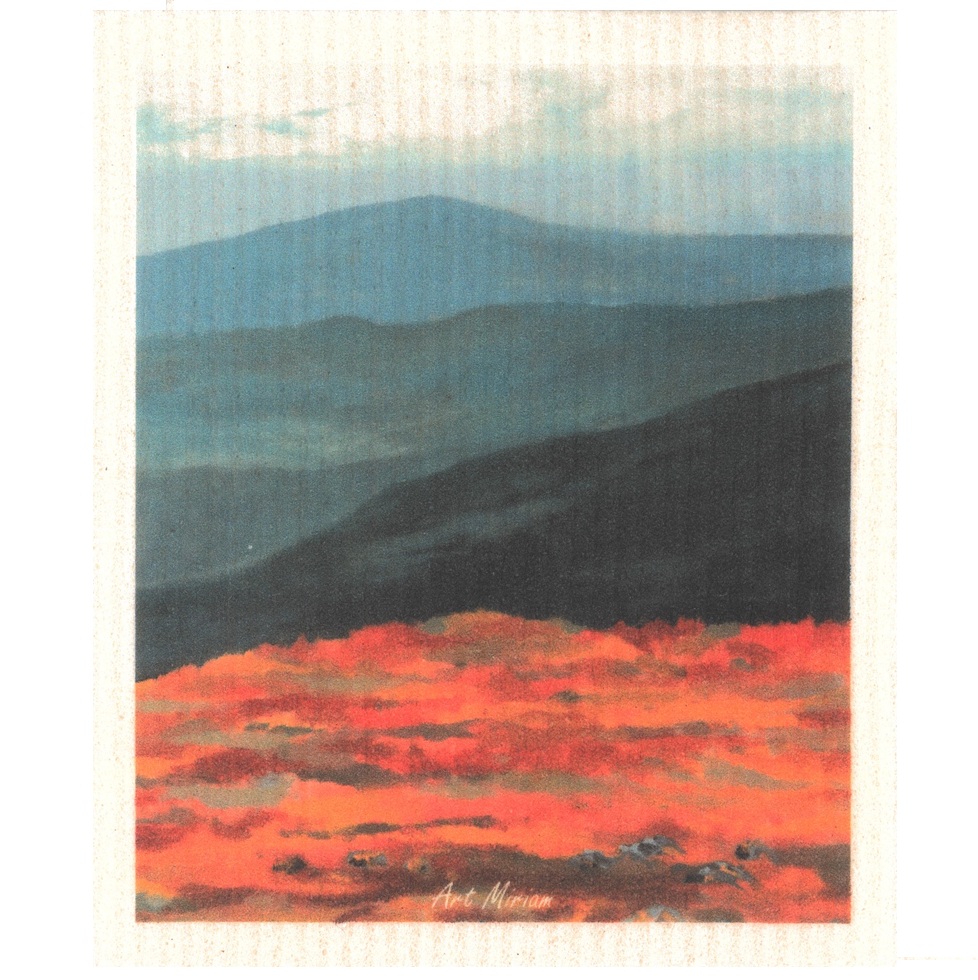 Dishcloth Nuvvuus